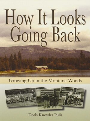 cover image of How It Looks Going Back